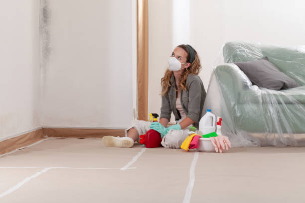 Reliable Mold Remediation contractor in Edwardsburg, MI by Cheap Mold Removal